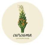 Curcuma logo